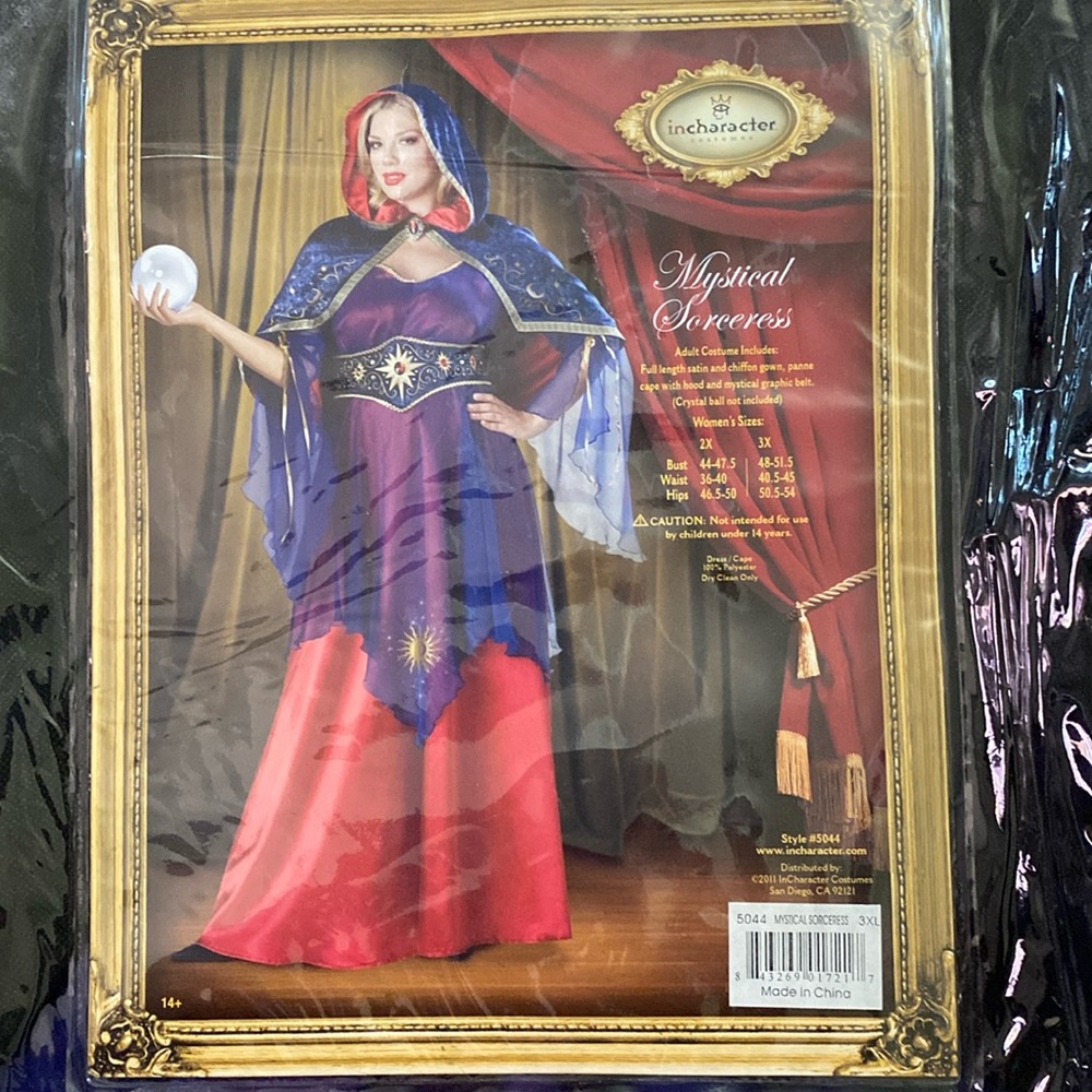 InCharacter Mystical Sorreries Halloween Costume
